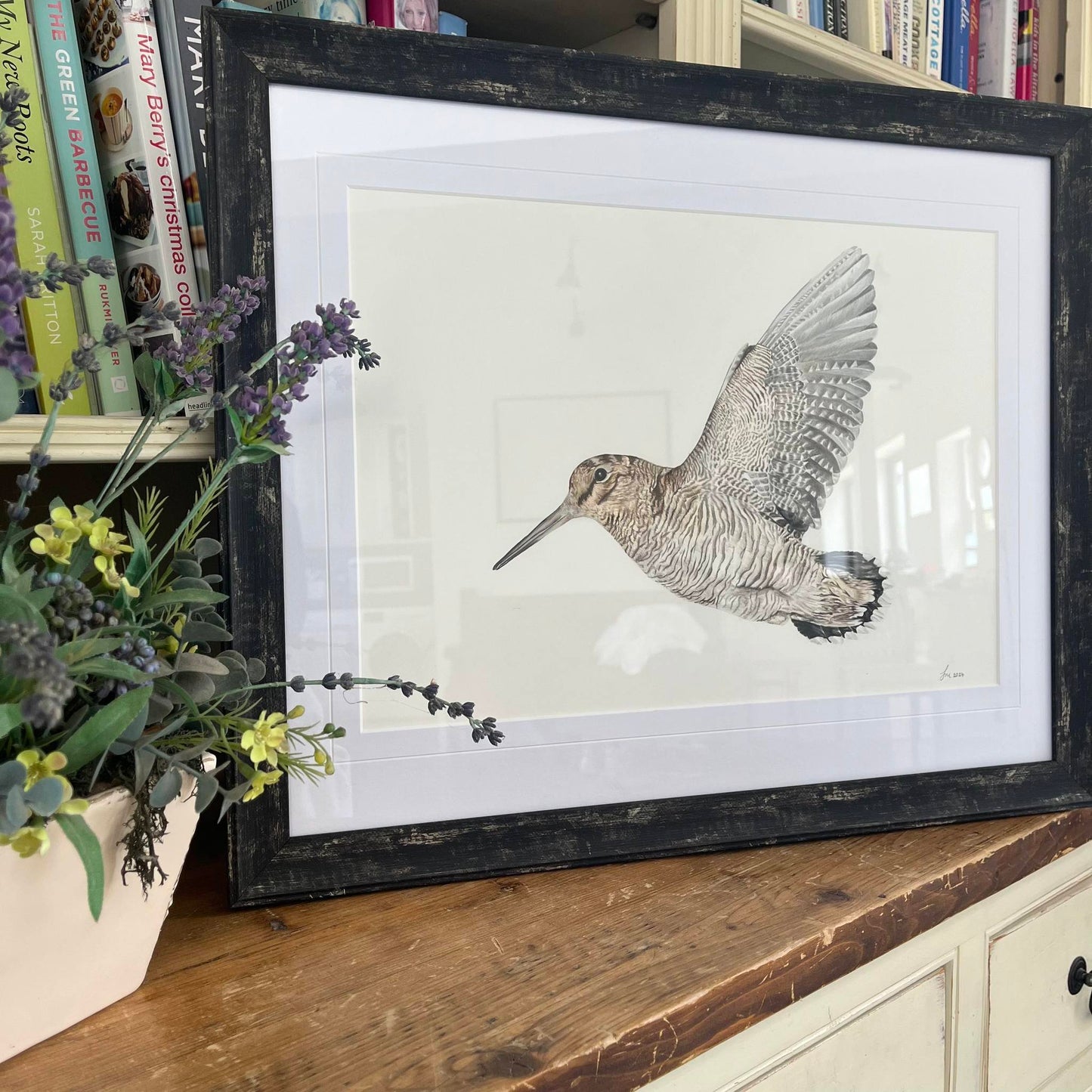 ‘Woodcock Study’ Limited Edition Print