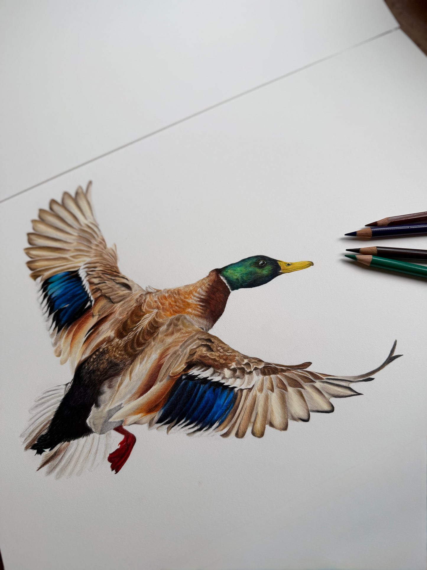 The Iridescent Rise Limited Edition Print