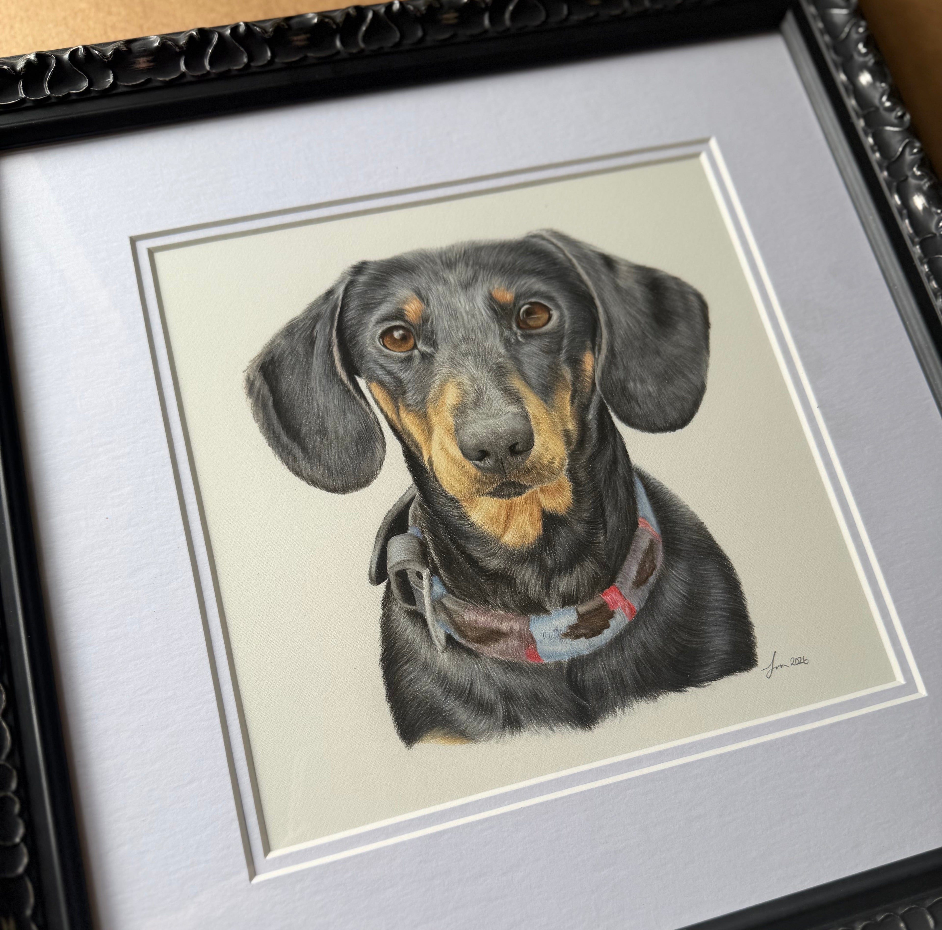 A framed custom pet portrait of a black and tan dachshund, featuring a detailed colored pencil illustration of the dog wearing a collar, set in a black ornate frame with a white mount.