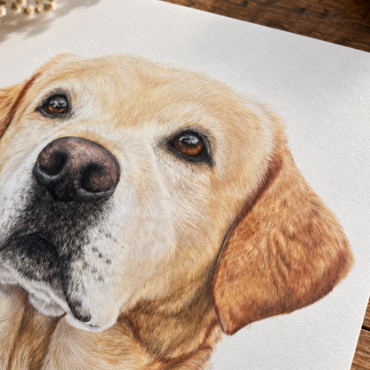 Pet Portrait Fine Art Print