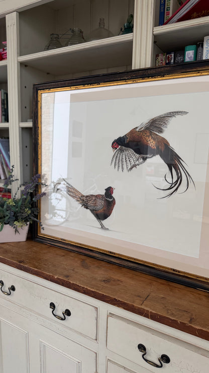 "Ruffled Feathers"