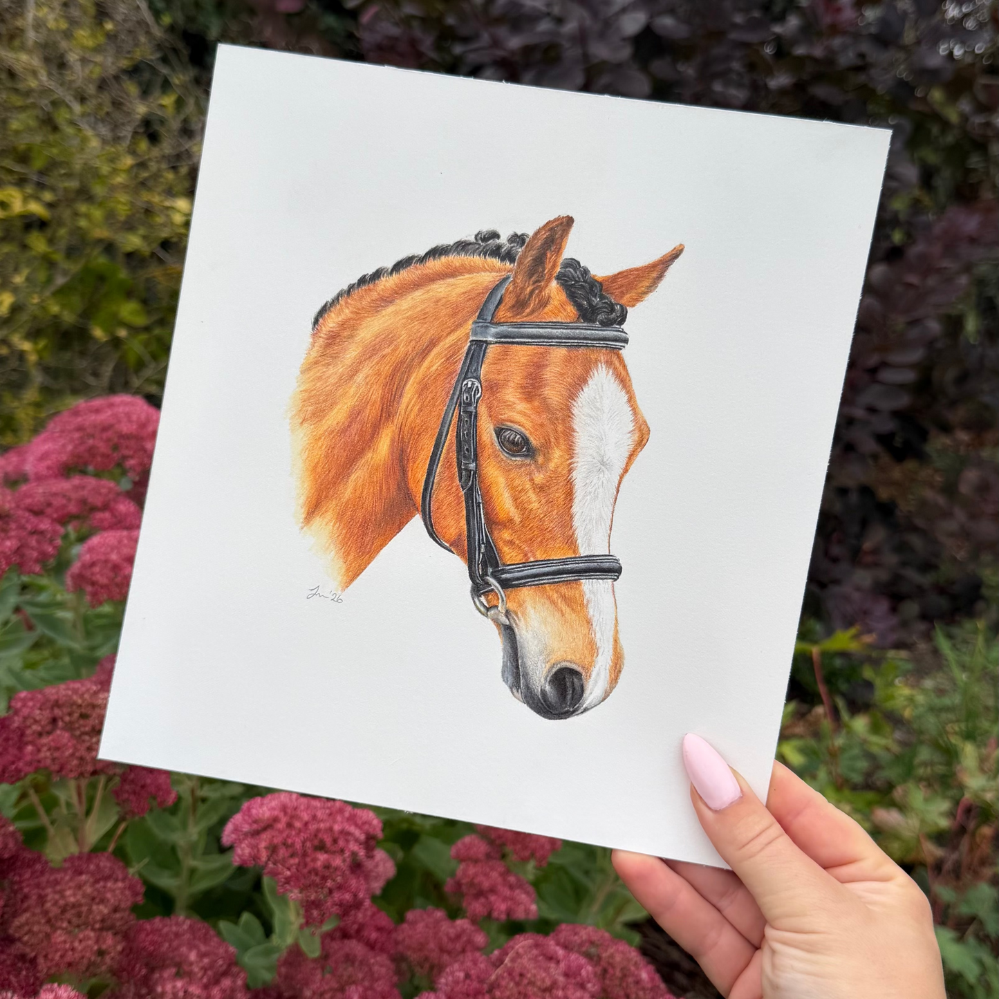 Pet Portrait Fine Art Print