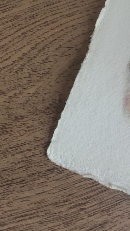 Bespoke Paw Portrait